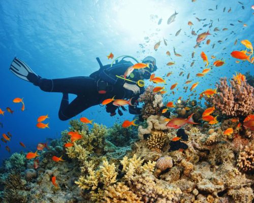 Zanzibar diving safaris with Raiyo Safaris